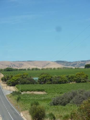 Amande Bed And Breakfast Mclaren Vale Exterior photo